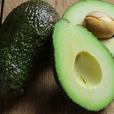 
Best Choice High quality Fresh Avocado Shipping from Vietnam 