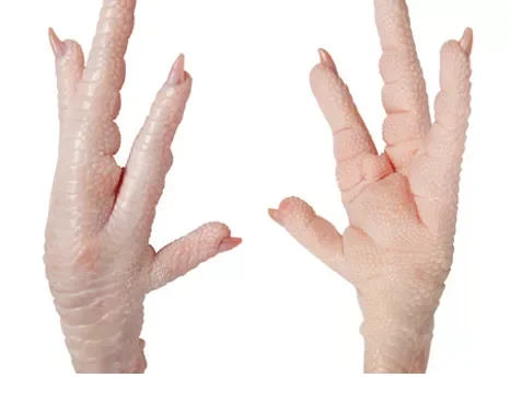 Frozen Turkey, All Parts, Whole, Feet, Paws, Wings, Tenderloin Etc