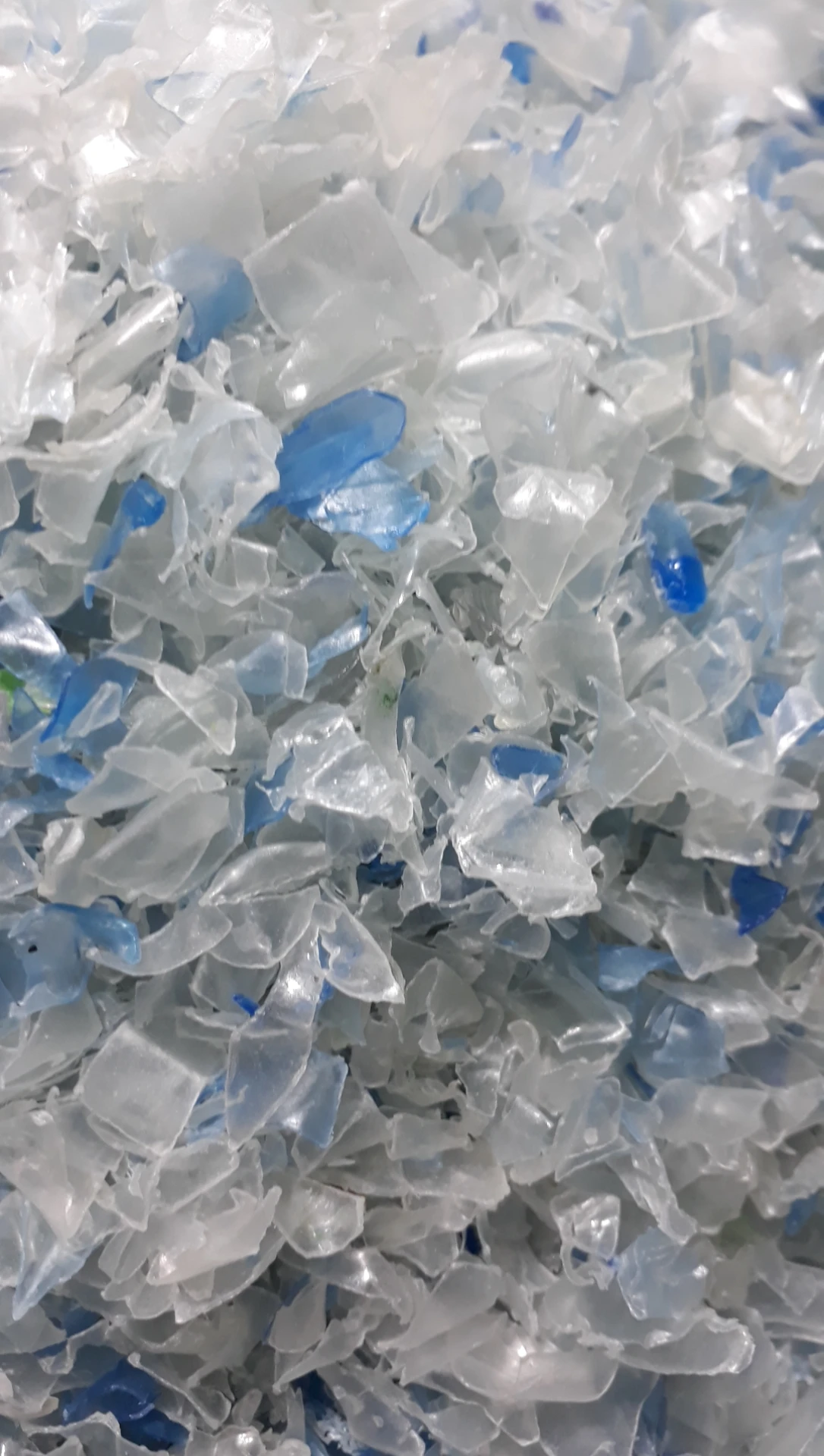 PET FLAKE COLD WASHED - Ms.Langlo (Whatsapp: +84582574369 )