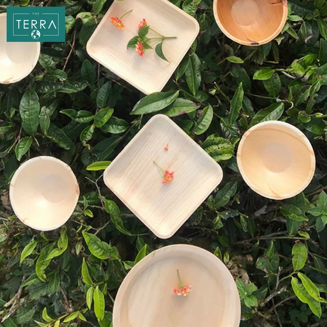 20 cm x 2 cm Natural Kitchen Home Garden Tableware Areca Leaves Disposable Round Food Plates 20 From Vietnam