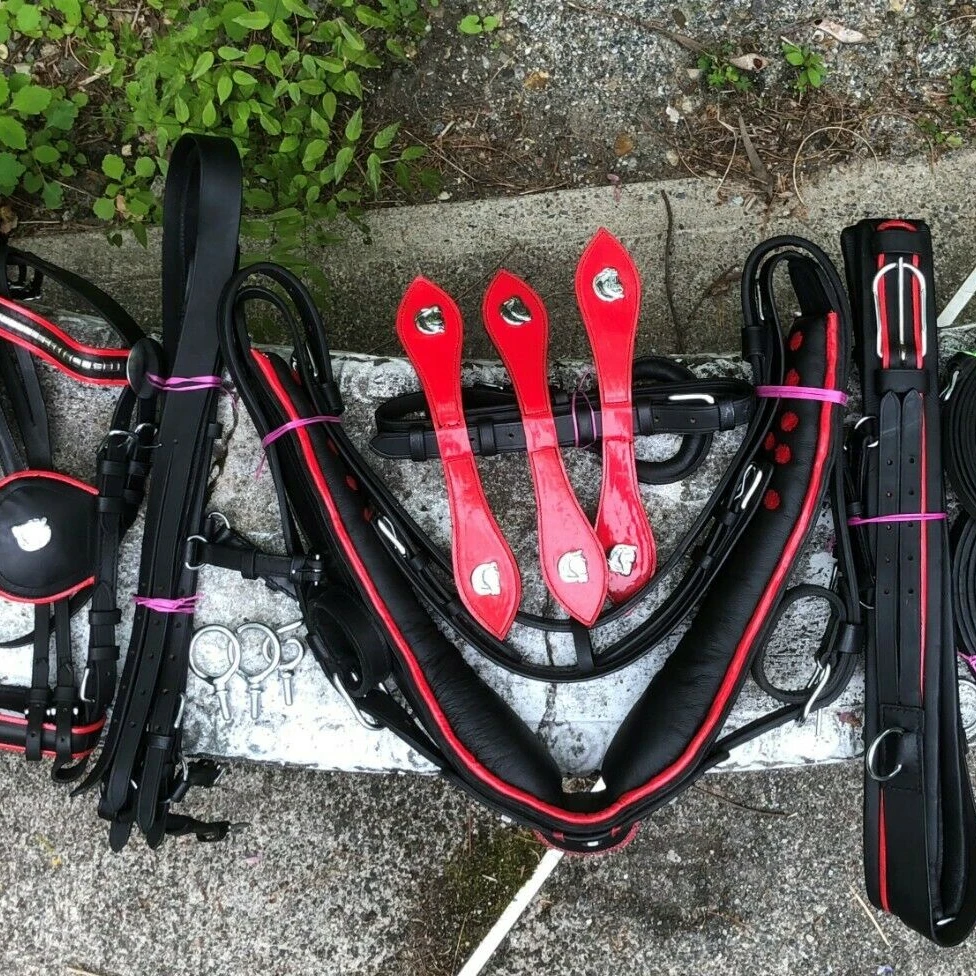 HORSE driving harness