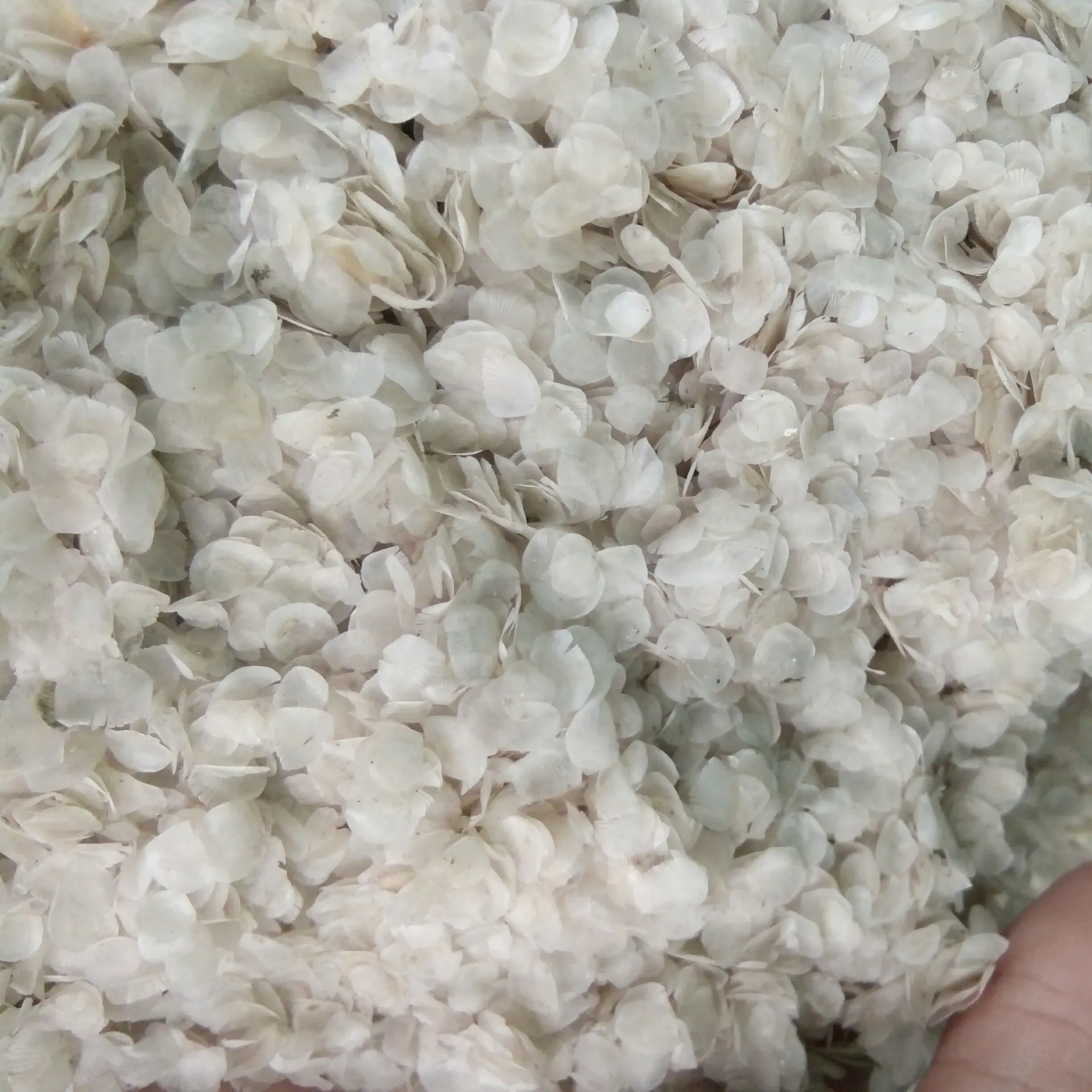 Весы для рыбы DIRED по низкой цене из Вьетнама-Axel + 84 38 776 0892