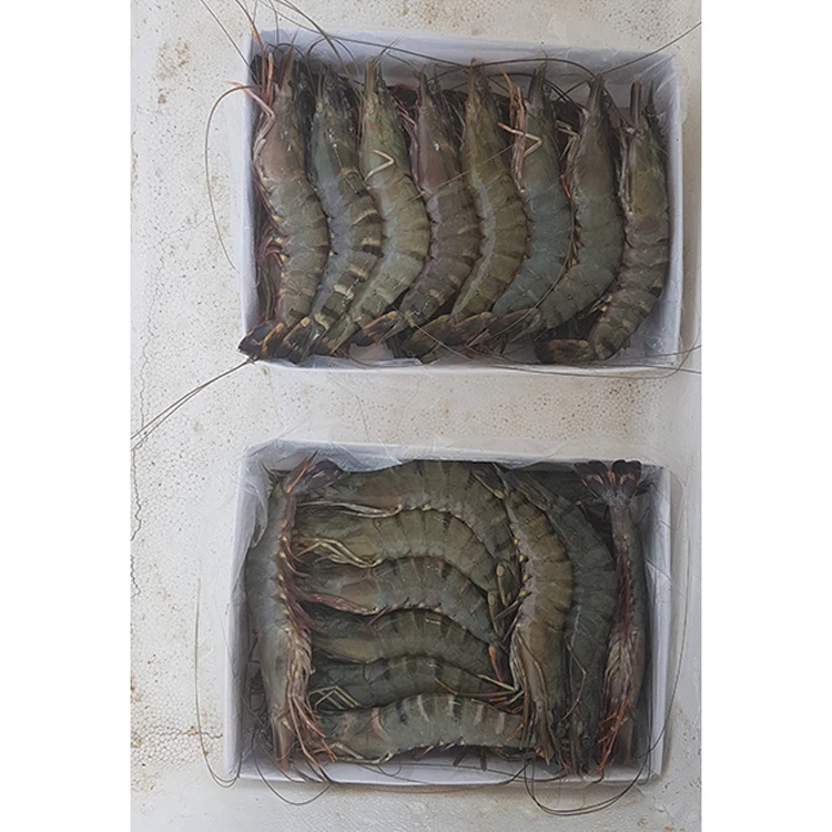 Белые креветки, замороженные креветки Caridean