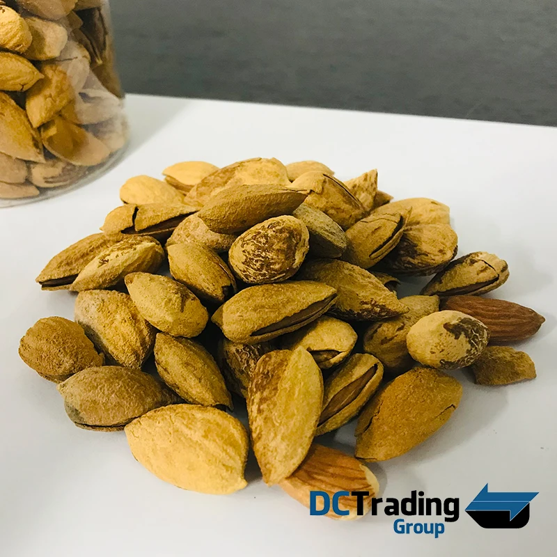 
Premium Almonds In Shell and Kernels Organic at Wholesale Competitive Price 