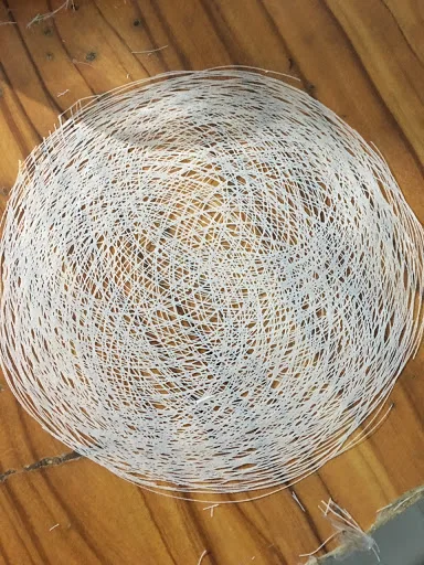 net rice pp1.jpg