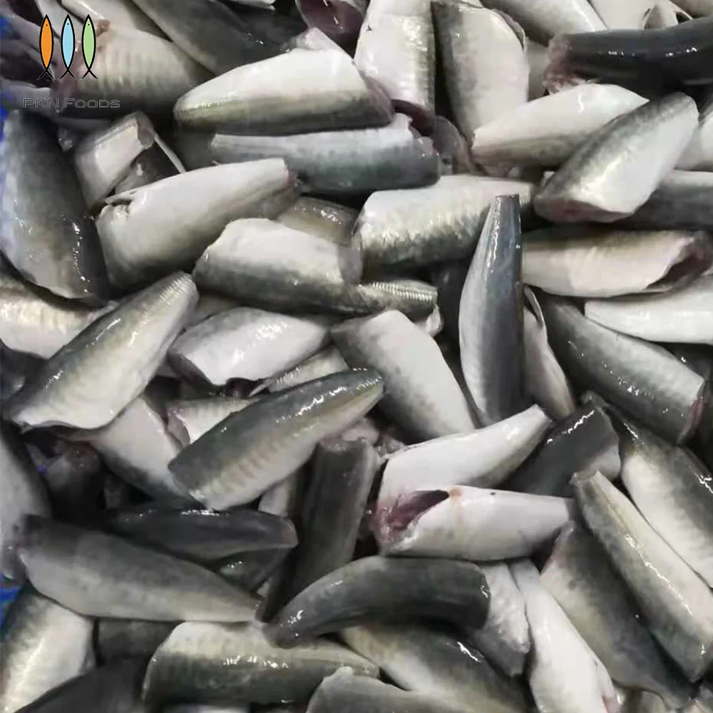 Scad Fish BLOCK Frozen Seafood Seasonal Whole Body Decapterus Maruadsi Round Scad HGT with Box Packaging