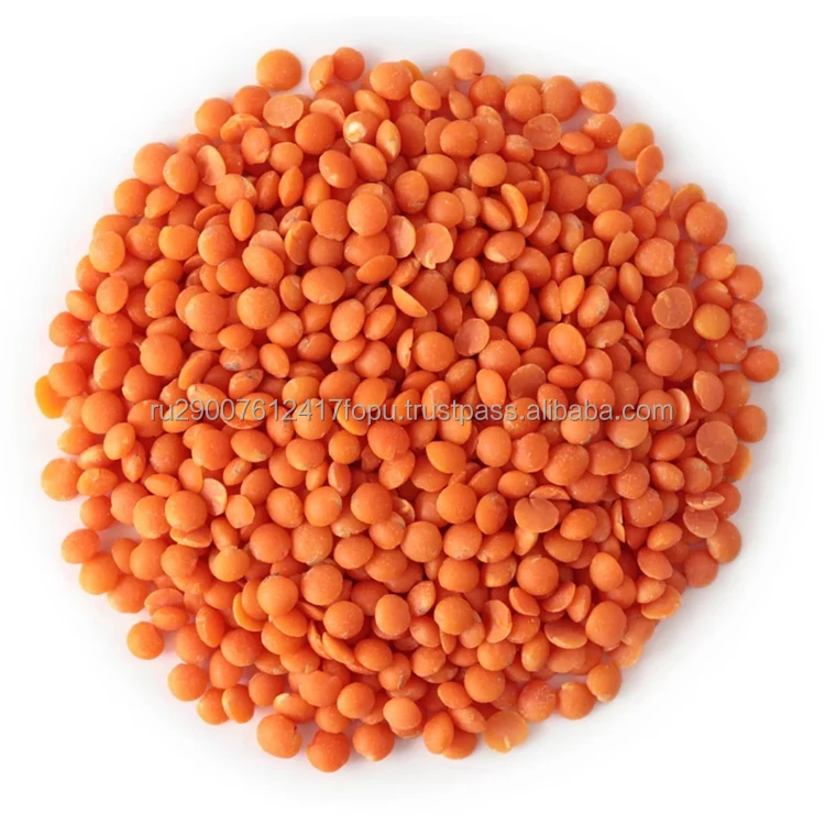 Red Lentils quality characteristics correspond to the Interstate standard healthy legume, lentils wholesale