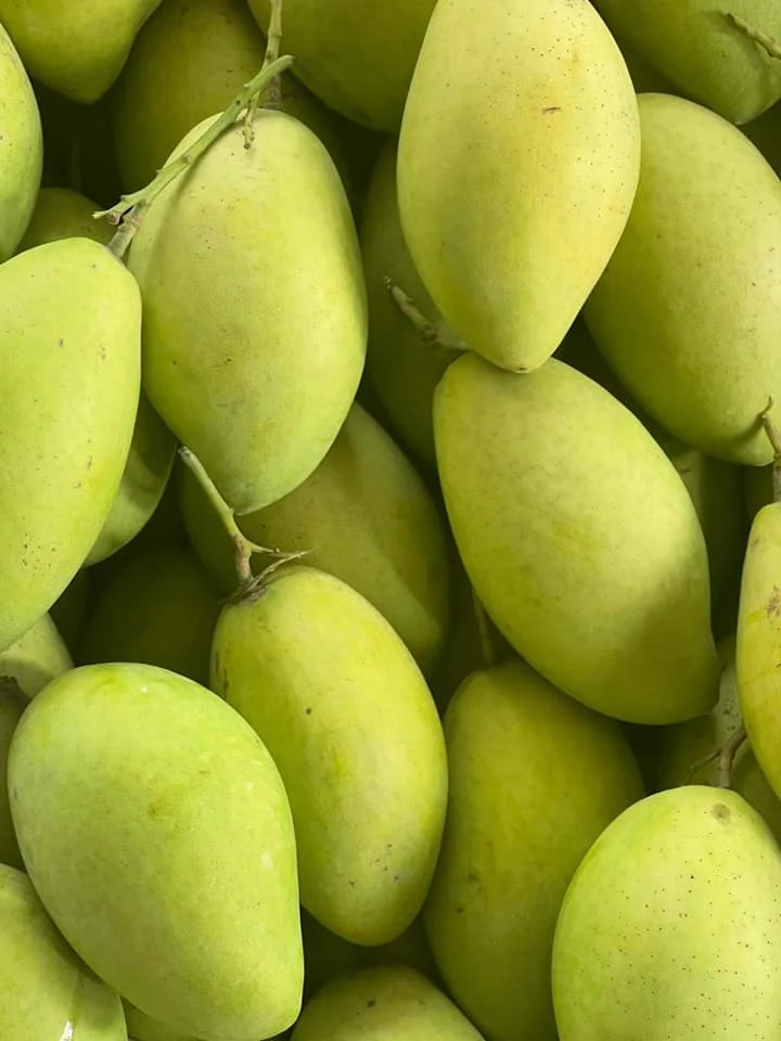 Best Selling Fresh Mango Made In Viet Nam Tropical Fruit Size 8cm High Quality Green Or Yellow Color