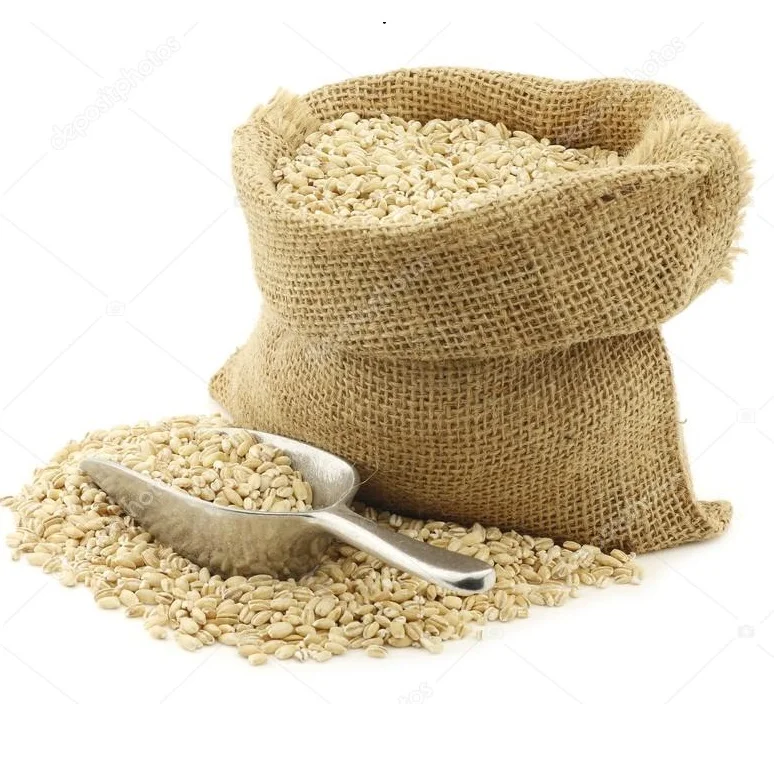 Best Feed Barley grain / Barley Malt grain / Hulled Barley Ready