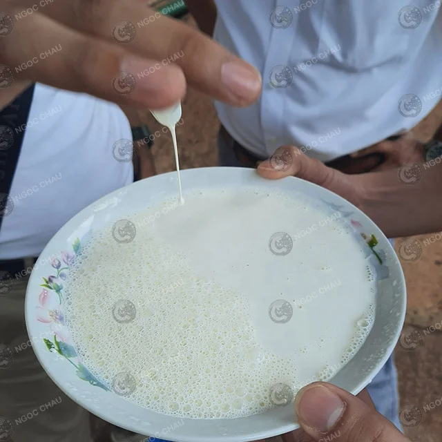 NATURAL RUBBER LATEX HA 60% DRC RAW LATEX RUBBER LIQUID MATERIAL IN VIETNAM HIGH QUALITY