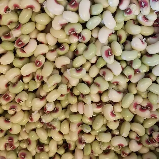 White Kidney Beans