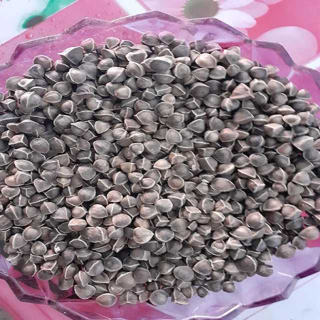 
HULLED SESAME SEED BULK SUPPLIER 