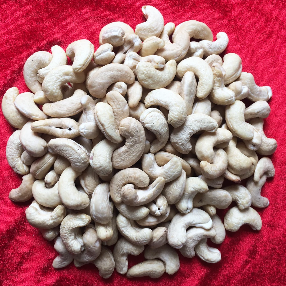 Healthy Food Premium Cashew Nuts W210 Vietnam Wholesale Standard Company High Quality Raw Cashews Products In Bulk Nuts Kernels