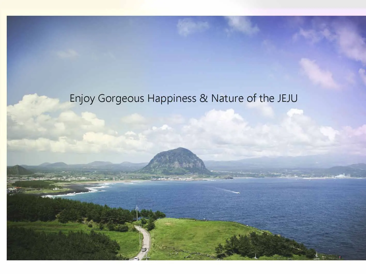 Organic Cookingl grade Matcha (Green Tea Powder) from Jeju Island / Garucha Plus