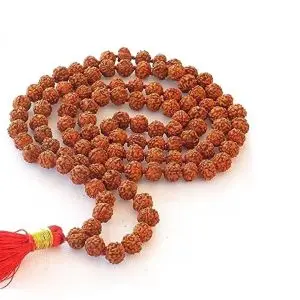 9-mukhi-rudraksha.jpg