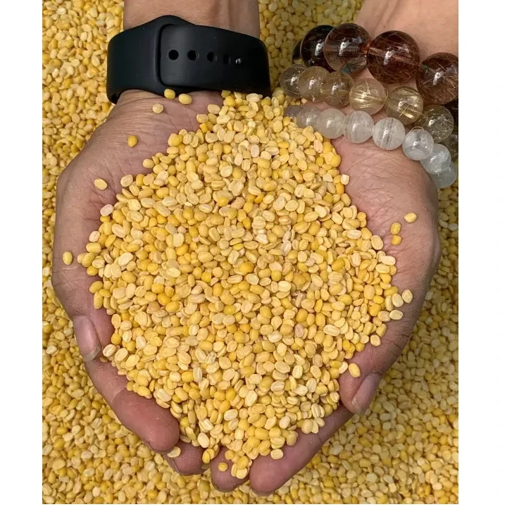 Wholesale OrSaFarm Green Beans without skin 5kg/pack Mung Bean Peeled 2021 High Quality made in Viet Nam