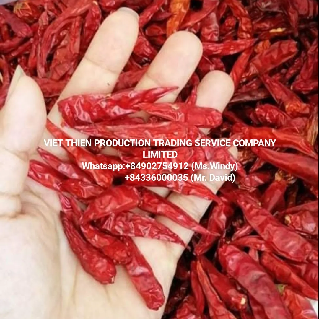 Red chili pepper dried from Vietnam is in main season at the best price and the best quality is export