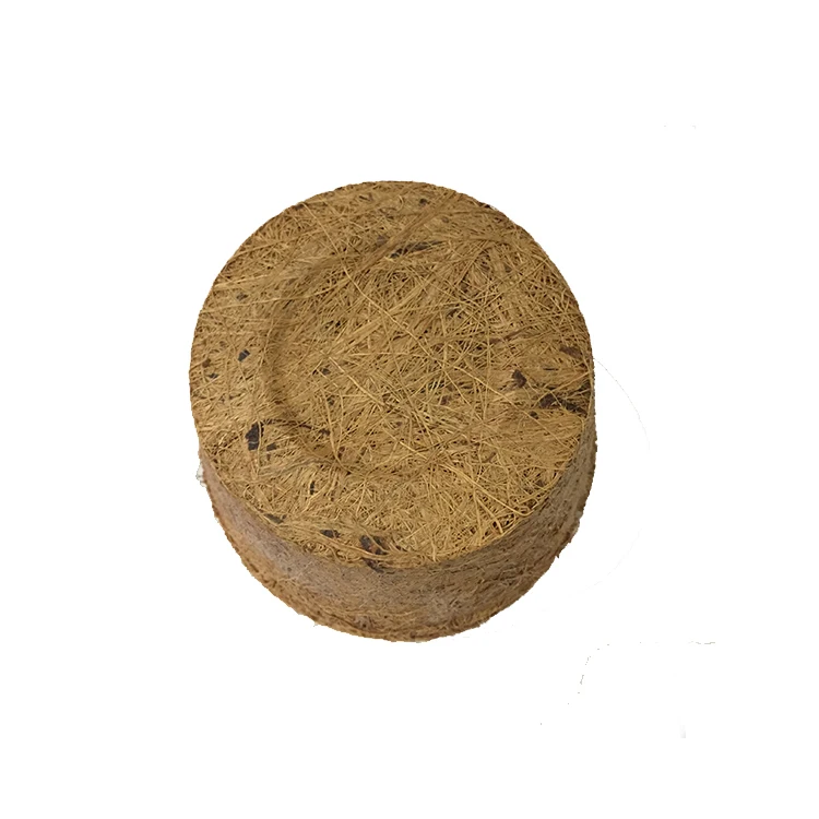 Coconut Coir Pot