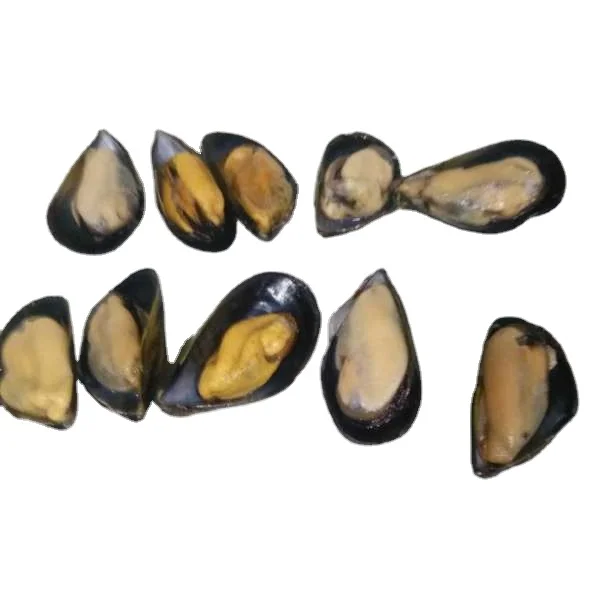  Новая 2021 замороженная моллюска (Mytilus Edulis) зеленая Mussel из Новой Зеландии