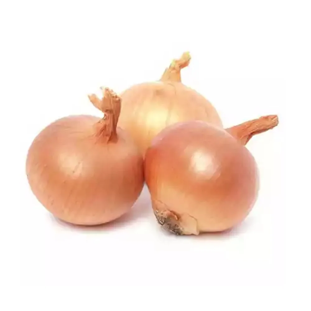Market Price For Red Fresh Onion For Ton