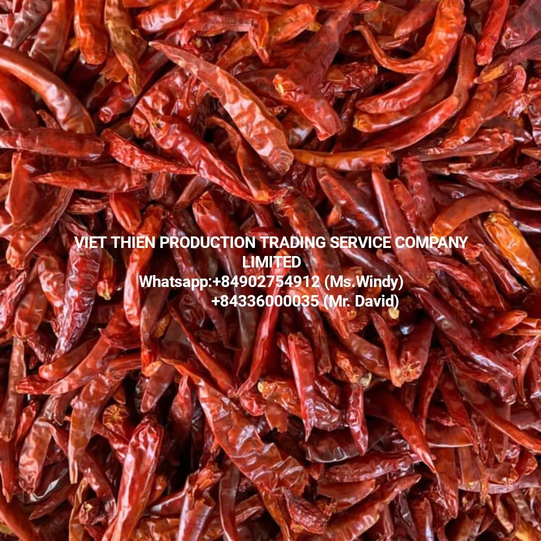 Dried chili best price best quality big quantity buy direct from farmer at Vietnam Hot Sale Spices Chili From Vietnam