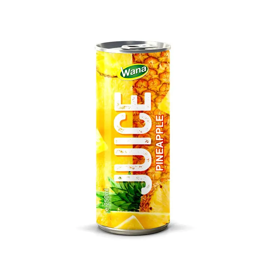 Premium All Fresh Watermelon Juice drink Supplier in 250ml/320ml/500ml Aluminum Can from OEM/ODM beverage manufacture in Vietnam