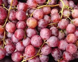FRESH GRAPES SEEDLESS