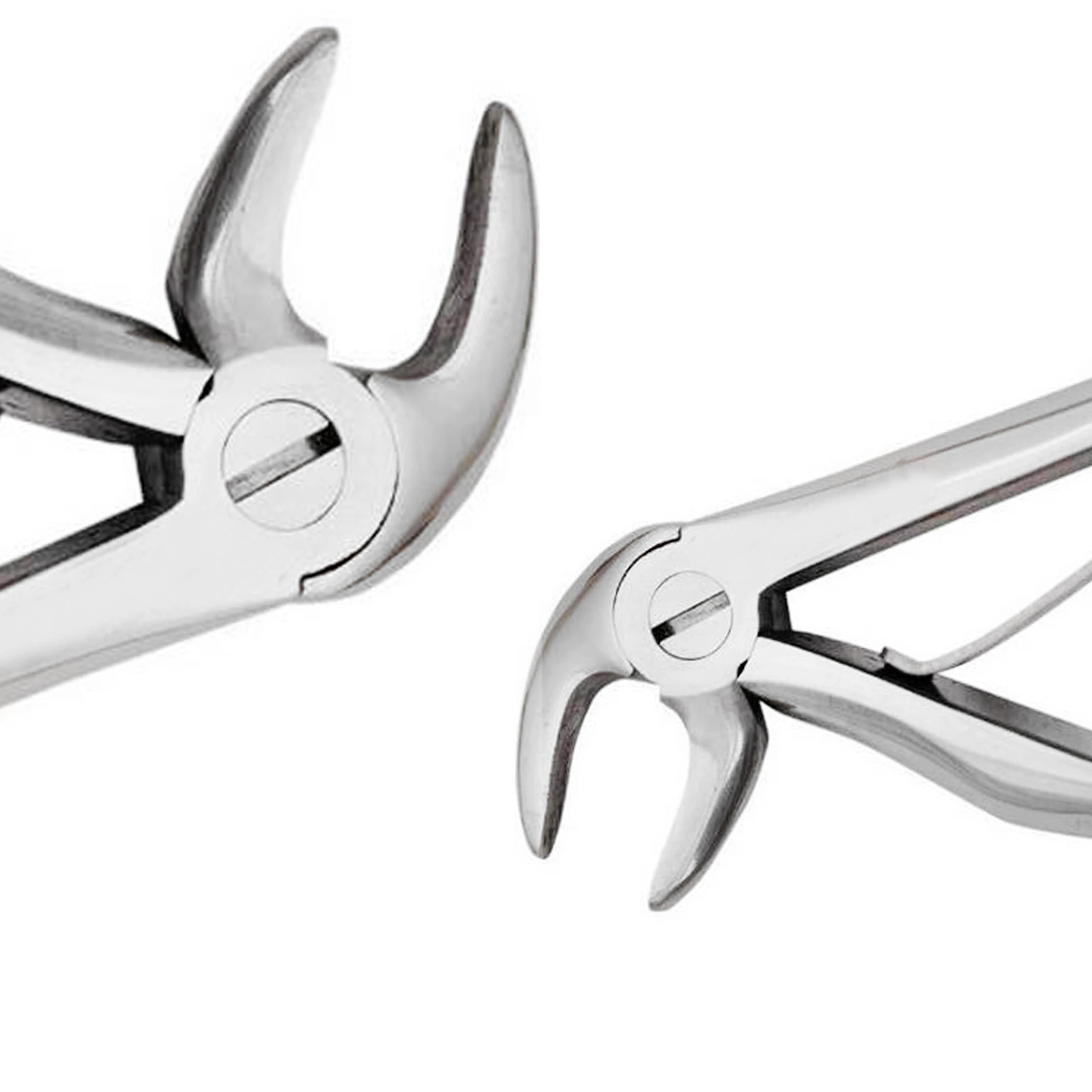 
Dentist Surgery Tooth Extracting Forceps Teeth Extraction Dental Surgical Pliers High Quality Stainless Steel 