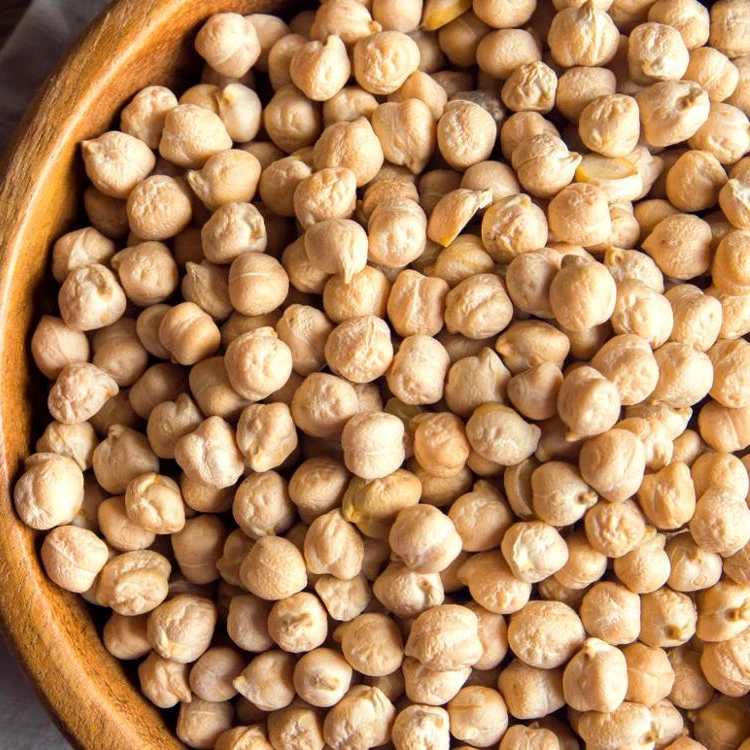 
High Quality White Dried Chickpeas 