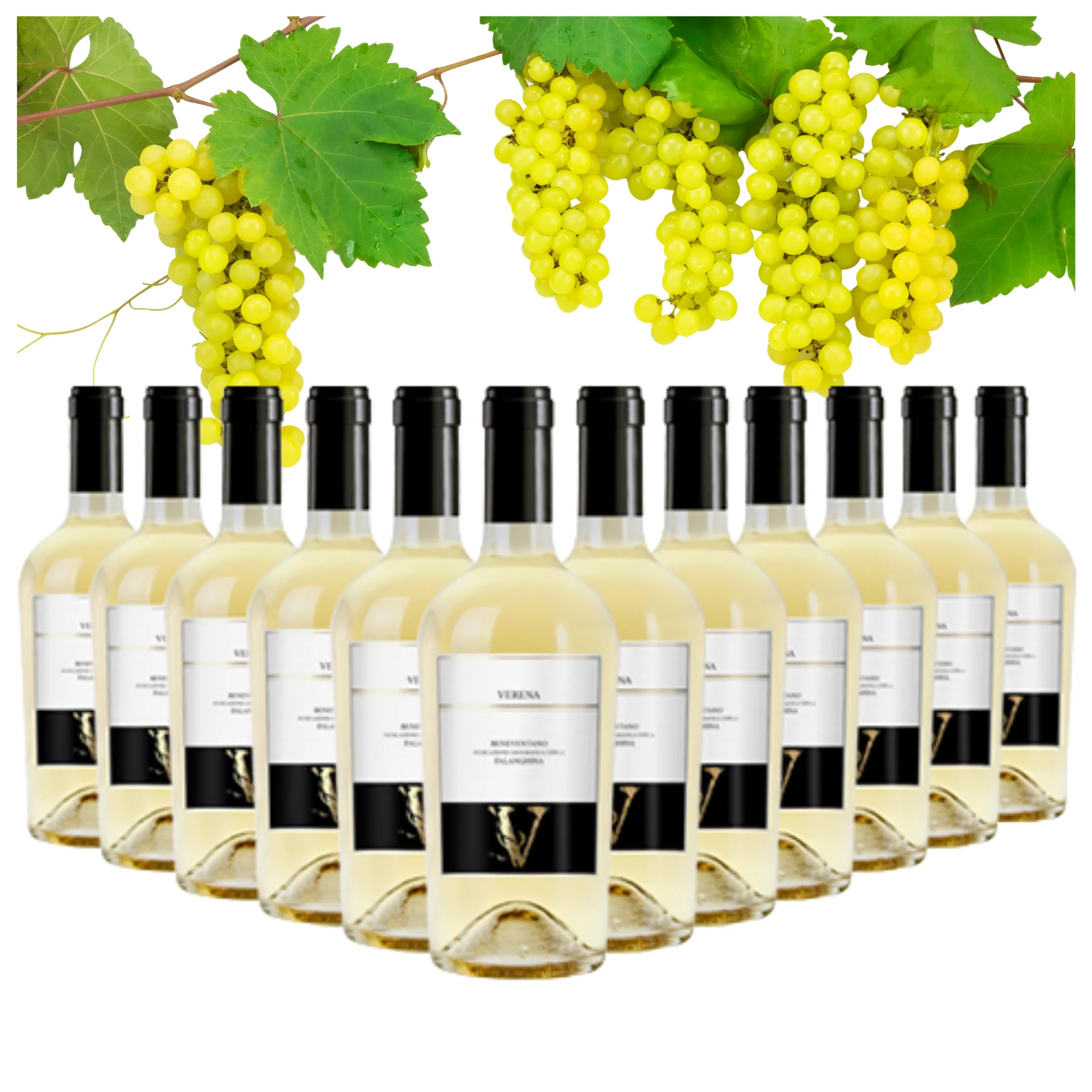 Dropship Italian White Wine - Falanghina Beneventano IGT - White Wine bottles 750 ml alcohol wine 12.5%