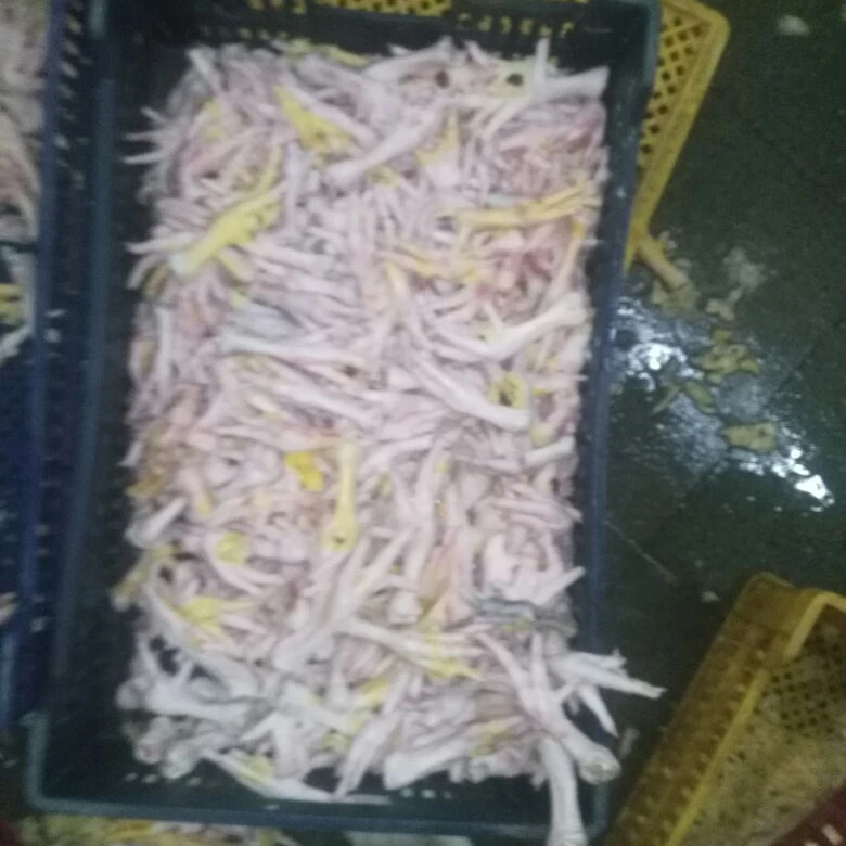 HIGH PREMIUM DUCK FEET 2021