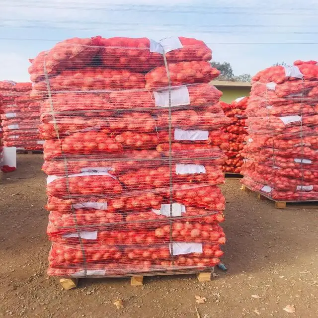  Fresh Style and Liliaceous Vegetables Product Type Red White