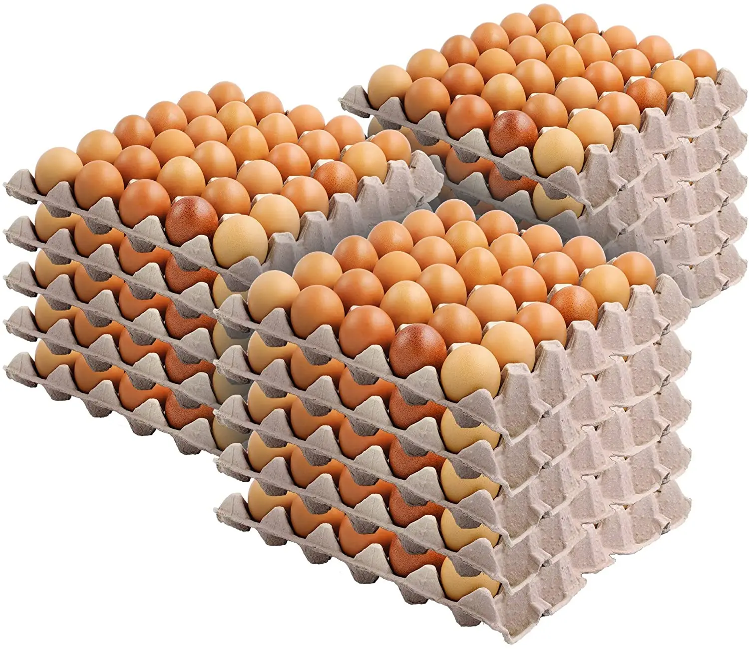 Poultry Eggs - Fresh White Eggs