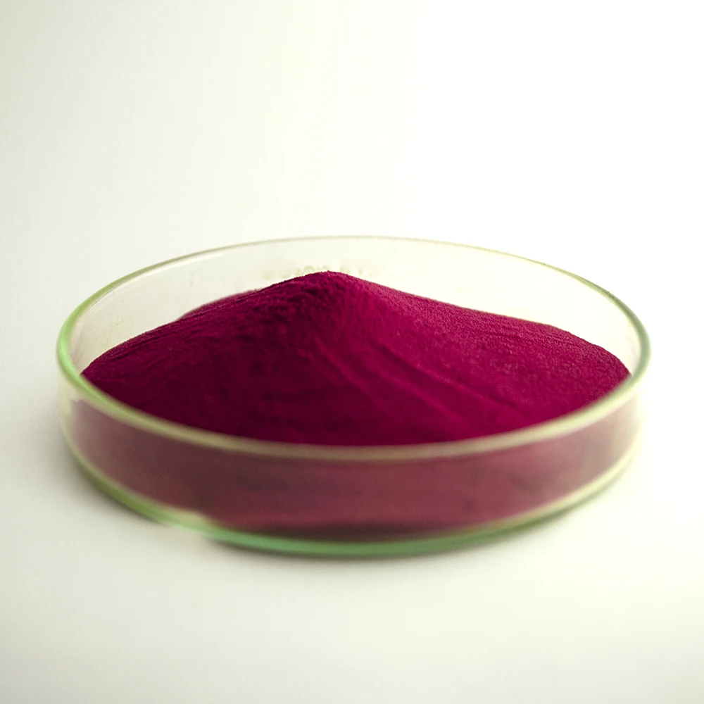 Organic Beetroot Powder with 100% Natural High Quality Organic plant extract/powder Hot selling beetroot powder herbal extract
