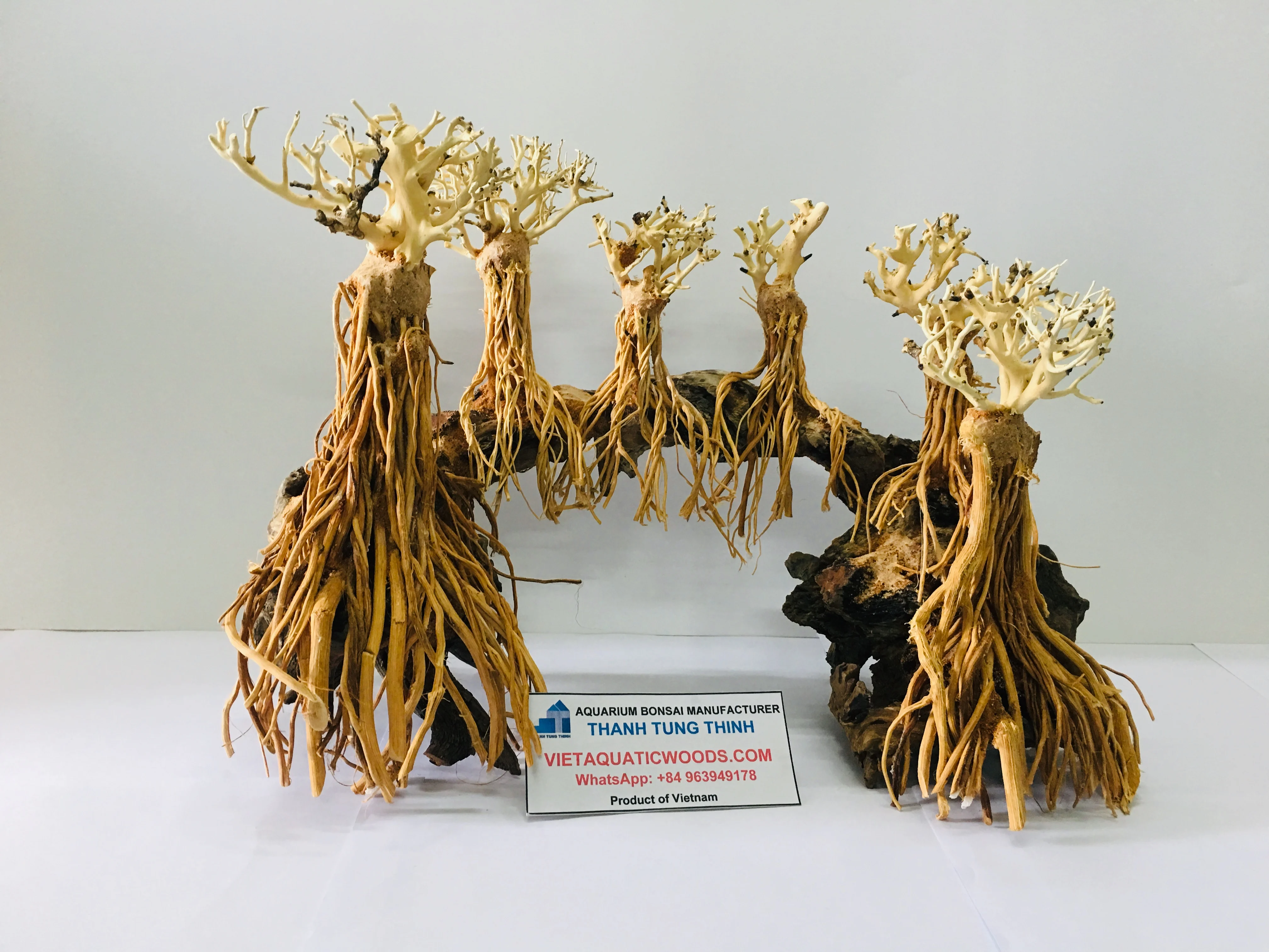 2024 лучшие товары бонсай коряги для украшения аквариума по доступной цене WhatsApp 84 961005832