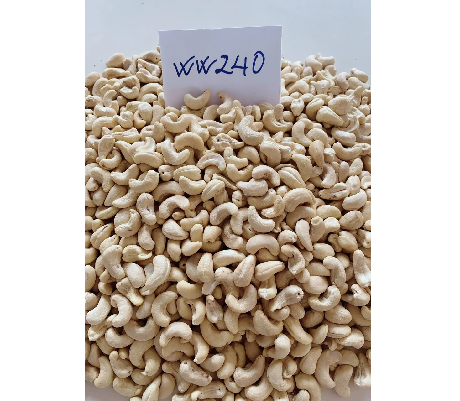 Vietnam Cashew nut ww240/ ww320/ ws/ lp good quality raw cashew nuts cashew nut packaging bag