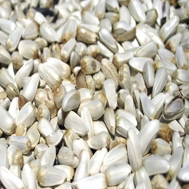 
POLAND SAFFLOWER SEEDS FROM BEST EXPORTER AVAILABLE FOR EXPORT AT A CONSIDERABLE PRICE.. 