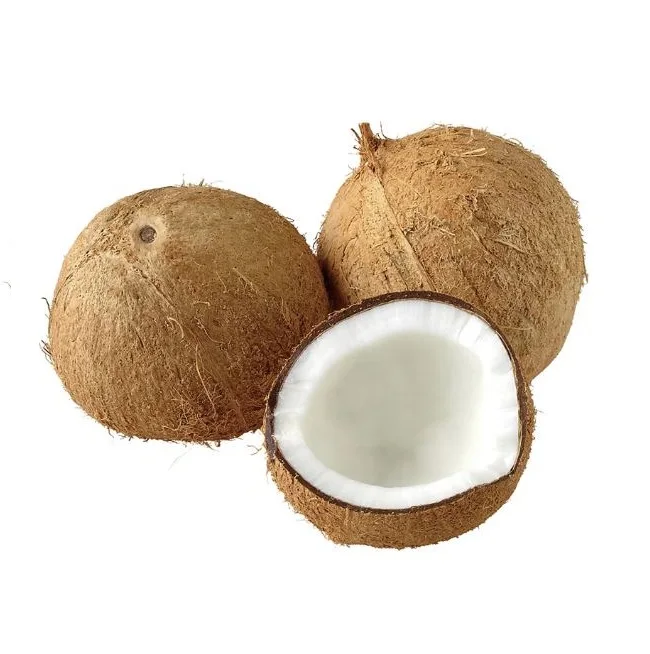 Fresh Premium Coconuts in Cheapest Rate Fresh Mature Coconut Crop Sweet Water Semi Husked Coconut From Bangladesh