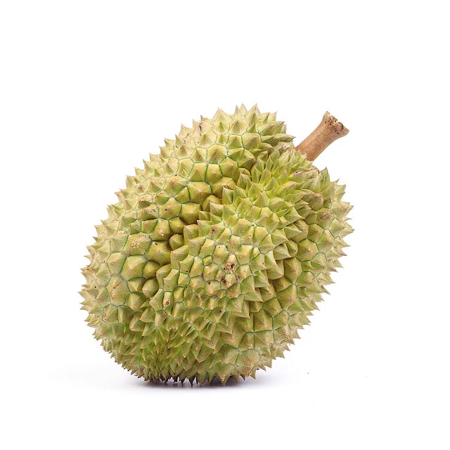 Fresh Super Delicious Taste Premium Quality Durian Whole Fruit Export