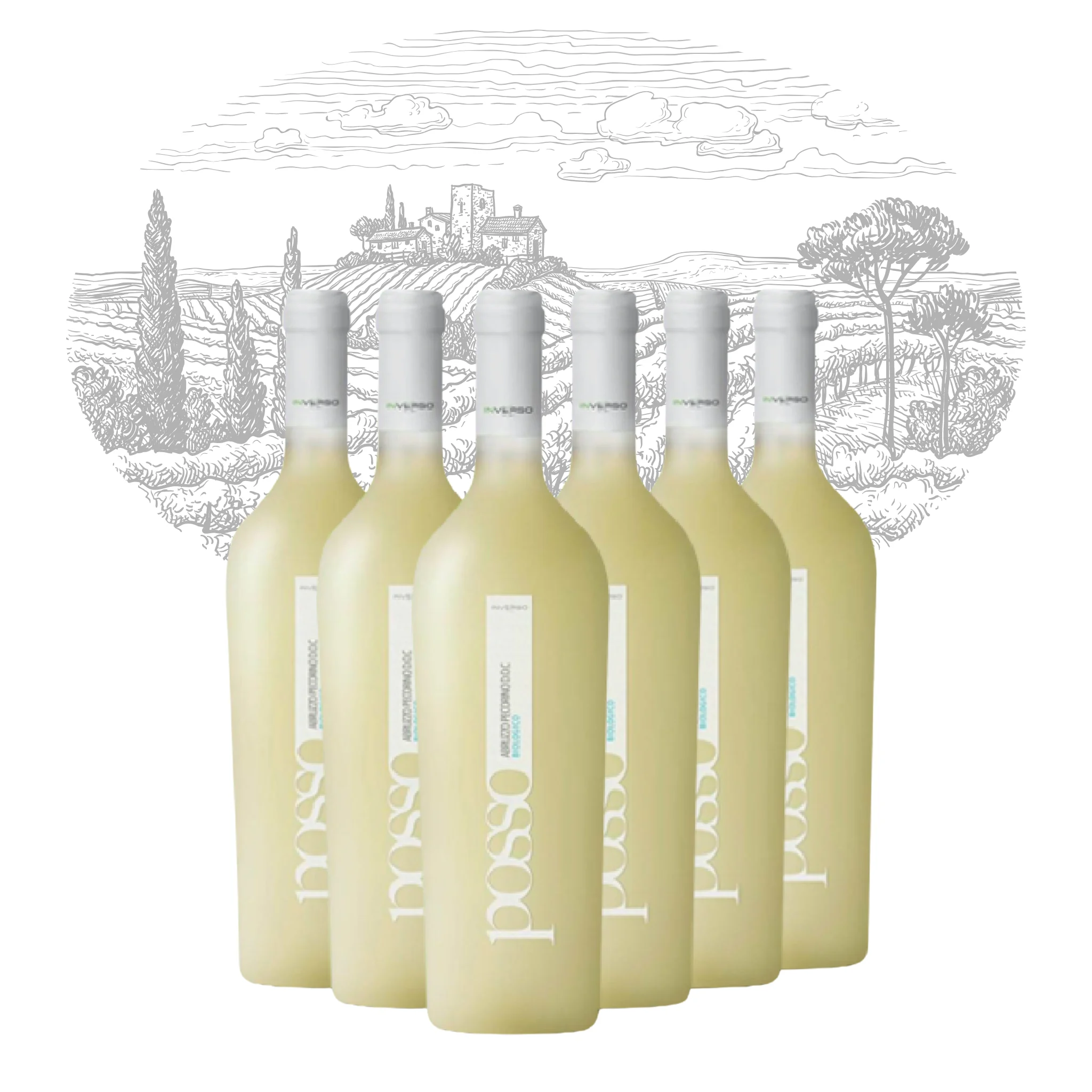 Premium Made in Italy White Wine Pecorino DOC Organic Posso White Table Wine bottles 750 ml alcohol 13% for export