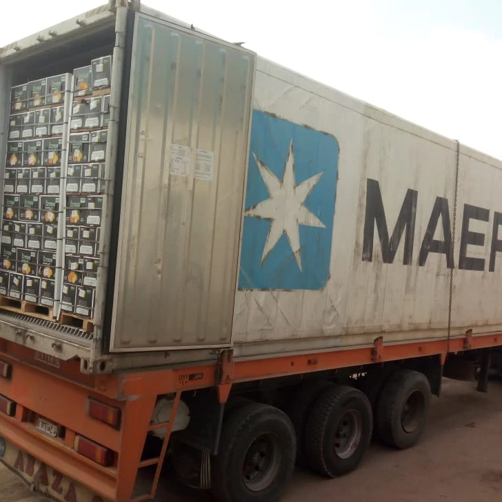 Египетский экспорт натуральных свежих фруктов апельсинов