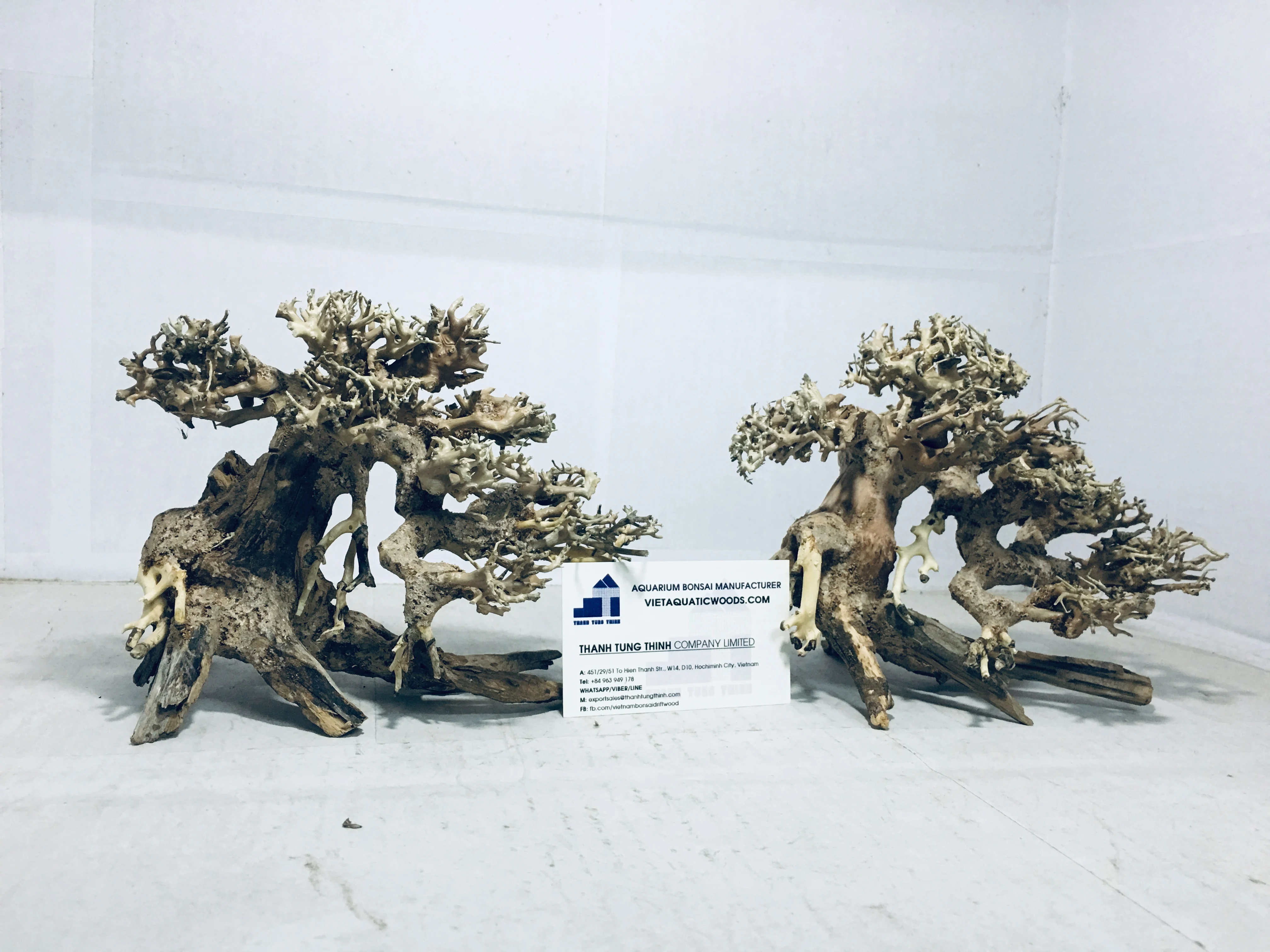 2024 Good Quality Bonsai Driftwood for Aquarium Decoration WhatsApp: +84 961005832