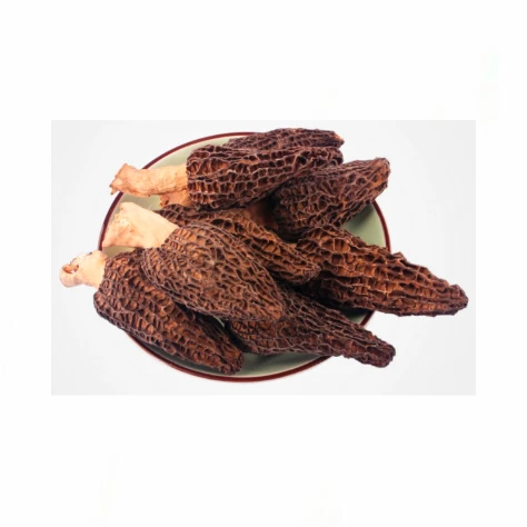 Wholesale Morel Mushrooms Flower Mushrooms for Sale