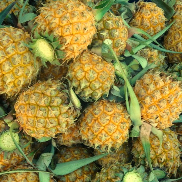 HOT DEAL!!! DELICIOUS SWEET PINEAPPLE