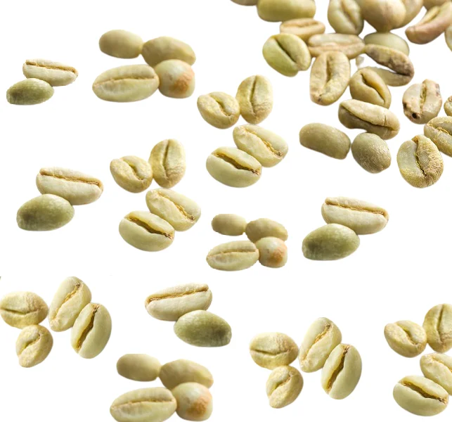  Высококачественная Органическая нежареная Арабика класса 1 из Вьетнама с хорошим вкусом в наличии готов к экспорту