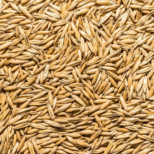 Whole Rolled Oats (Raw, Organic), Oat Grains Available