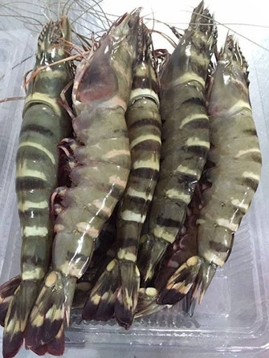 Top Premium Raw Headless Shell - On Black Tiger Shrimp - Vietnam black tiger shrimp