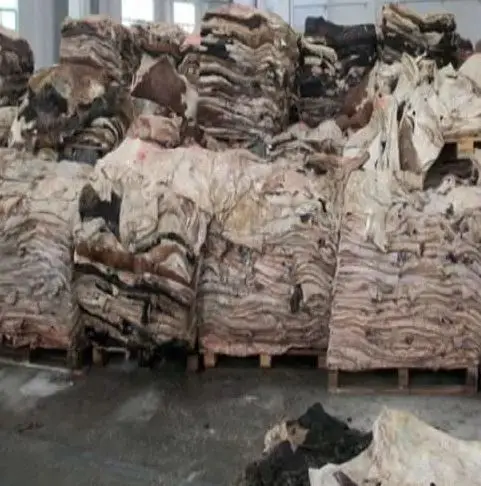 Best Quality Wholesale Raw salted Cow hide skin For Sale In Cheap Price