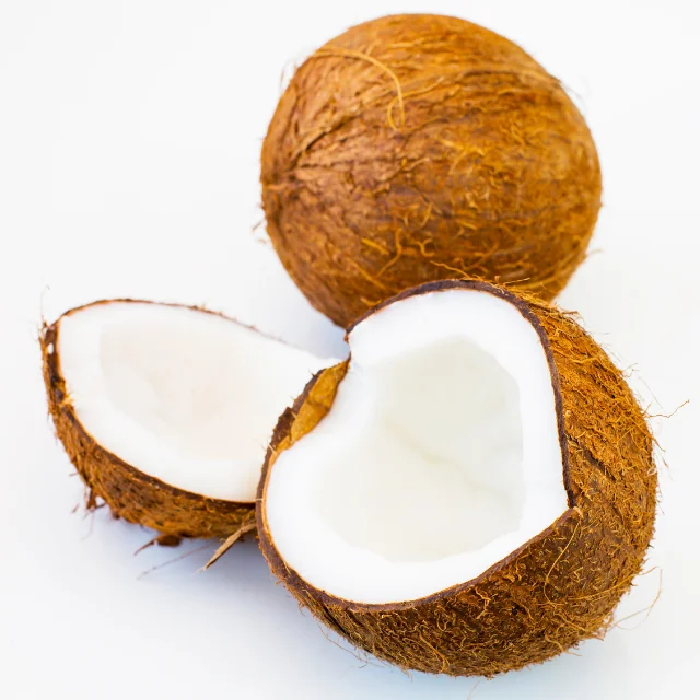 Online wholesale supplier coconut semi husked desiccated coconut high fat fine grade coconut organic flour