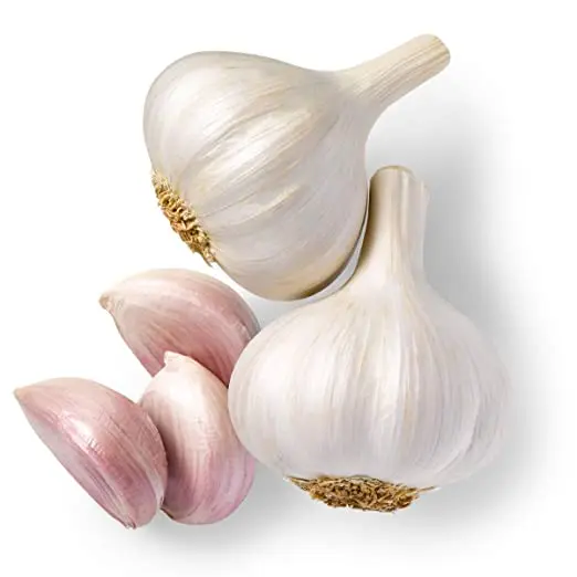Cheap Garlic from Thailand